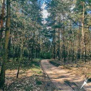 Szlak między stawami w Kącikach (12 km) 0