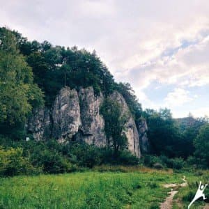 Szlak przez Dolinę Będkowską oraz Dolinę Szklarki (19 km) 3