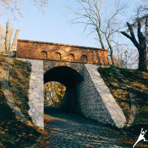 Podróż w czasie między Wawelem i zamkiem Przegorzały (15 km) 2